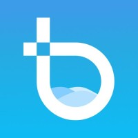 BLOOM TIDE CONSULTING logo - Similar company to Shyno Technology