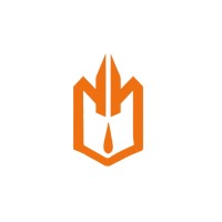 Nikhil Nanda Motion Pictures logo - Similar company to Technisum Web Solutions