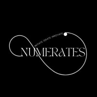 Numerates Club logo - Similar company to Online Best Tutorial
