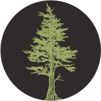 Jackpine logo - Similar company to Tza – Now Part Of Easy Metrics
