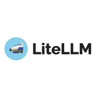 LiteLLM (YC W23) logo - Similar company to Langfuse