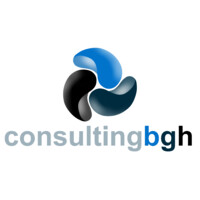 Consulting BGH logo - Similar company to Ficogest