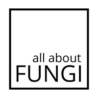all about FUNGI logo - Similar company to Healthy-Longer Gmbh