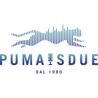 PUMAIS DUE Srl logo - Similar company to 21Factory
