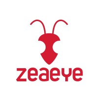 Zeaeye logo - Similar company to Renflow Designs