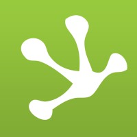 Frogstudio It