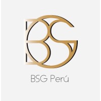 BSG PERU logo - Similar company to Bsg Perú