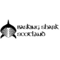 Basking Shark Scotland logo - Similar company to Celtic Deep