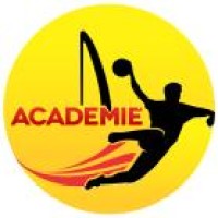 Académie Genève Handball logo - Similar company to Cs Chênois Genève Handball