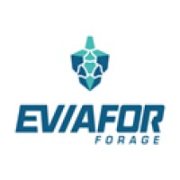 SPA EVIAFOR logo - Similar company to Newold Drilling Spa