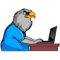 Eagle Eyes Editing and Proofreading logo - Similar company to Final Proof Editing & Proofreading