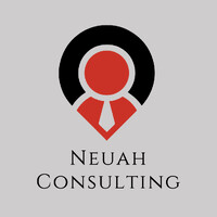 Neuah Consulting logo - Similar company to Abramson Labor Group