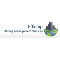 Efficorp Management Services Pvt Ltd logo - Similar company to Adaptive Development Private Limited