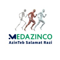 AzinTeb Salamat Razi (MEDAZINCO) logo - Similar company to Salamat Sazan Arad Daroo