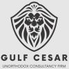 قيصر الخليج للإستشارات المهنية | Gulf Cesar PLLC logo - Similar company to Reayat | رعايات