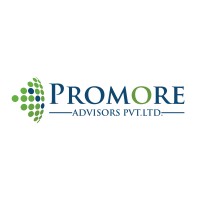 Promore Advisors logo - Similar company to Promore Fintech