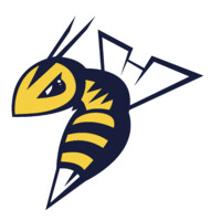 Edmonton Stingers logo - Similar company to Tech Edge Inc.