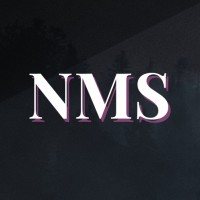 Notmystyle logo - Similar company to Ador