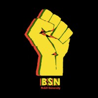 Black Students' Network of McGill (BSN) logo - Similar company to Mcgill African Students' Society