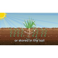 SoilHub logo - Similar company to Soil Hub