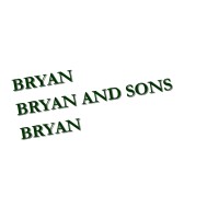 Bryan & Sons, LLC logo - Similar company to Peoples Place