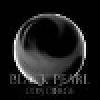 Black Pearl Concierge, LLC logo - Similar company to Cool Water Air Conditioning