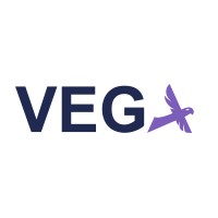 Shenyang Vega Heavy Industry Co., Ltd. logo - Similar company to Crane & Transport Briefing