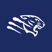 Bengals Brescia logo - Similar company to Apf Group Pte Ltd