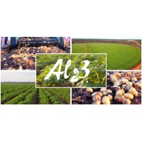 AL 3 BOERDERY logo - Similar company to Witzenberg Properties