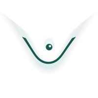 Virtual Identity logo - Similar company to Virtual Identity
