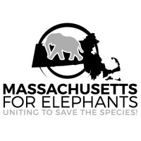 Massachusetts for Elephants logo - Similar company to Transitmatters