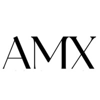 AMX Italy - Management & Consulting logo - Similar company to Asseprim Confcommercio