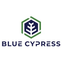 Blue Cypress logo - Similar company to Elastik Teams