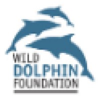 Wild Dolphin Foundation logo - Similar company to Cetacean Capital