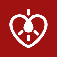 Patient Innovation logo - Similar company to Healostic