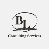 Bl Consulting Services
