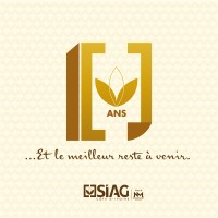 SIAG CI logo - Similar company to Sphere Construction Inc