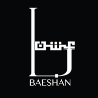 Baeshan logo - Similar company to Cognitic
