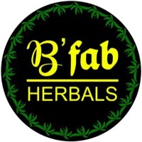 B'fab Herbals logo - Similar company to B2B Meets