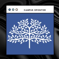 Campus Opositor logo - Similar company to Derecho Virtual