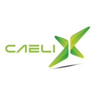 CAELIX logo - Similar company to Biosyn (Pty) Ltd