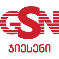 GSN Georgian Service Network logo - Similar company to Context Consulting