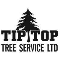Tip Top Tree Service Ltd logo - Similar company to Itziar Management Ltd