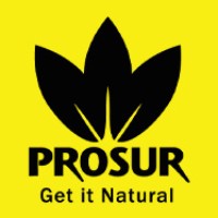 Prosur logo - Similar company to Grupo Gam