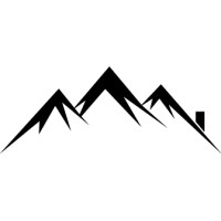 Padua Partners logo - Similar company to Virtual Budd