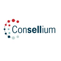 Consellium - Onderdeel UBO Agency logo - Similar company to Restaurant Bavoort