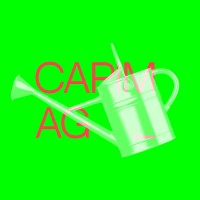 Capim.AG logo - Similar company to Dopps+Lucom Comunicação Integrada