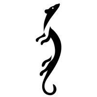 Kãkom Studio logo - Similar company to Motionkube