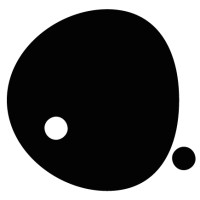 nano studio logo - Similar company to Vip Design
