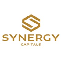 Synergy Capitals logo - Similar company to Synergy Capital